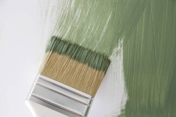 Mold Odor Removal Services in Jeffersonville, OH