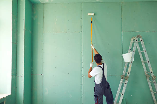 Best Water Damage & Mold Remediation  in Jeffersonville, OH
